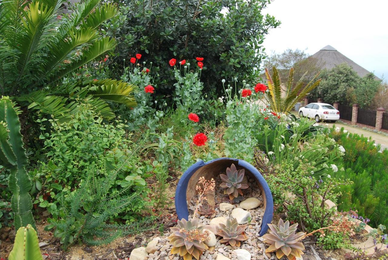 Wilderness Ocean View Cottage Bagian luar foto