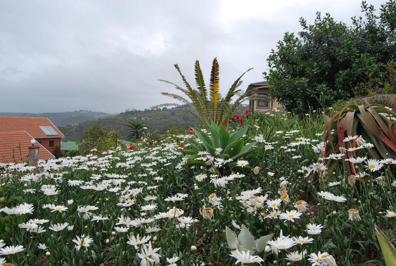 Wilderness Ocean View Cottage Bagian luar foto